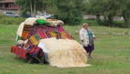 Bulgarian Weaving and carpet making
