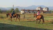 Horse riding in Bulgaria