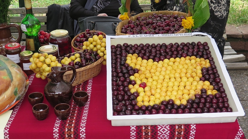 The cherry holiday in Bulgaria