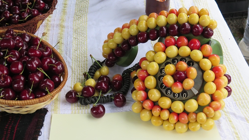 The cherry festival in Bulgaria