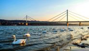 Novi Sad bridge