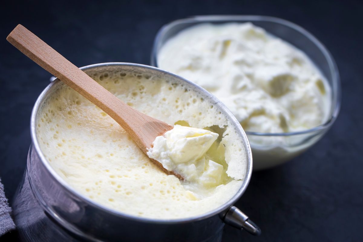 A cup of Bulgarian yoghurt